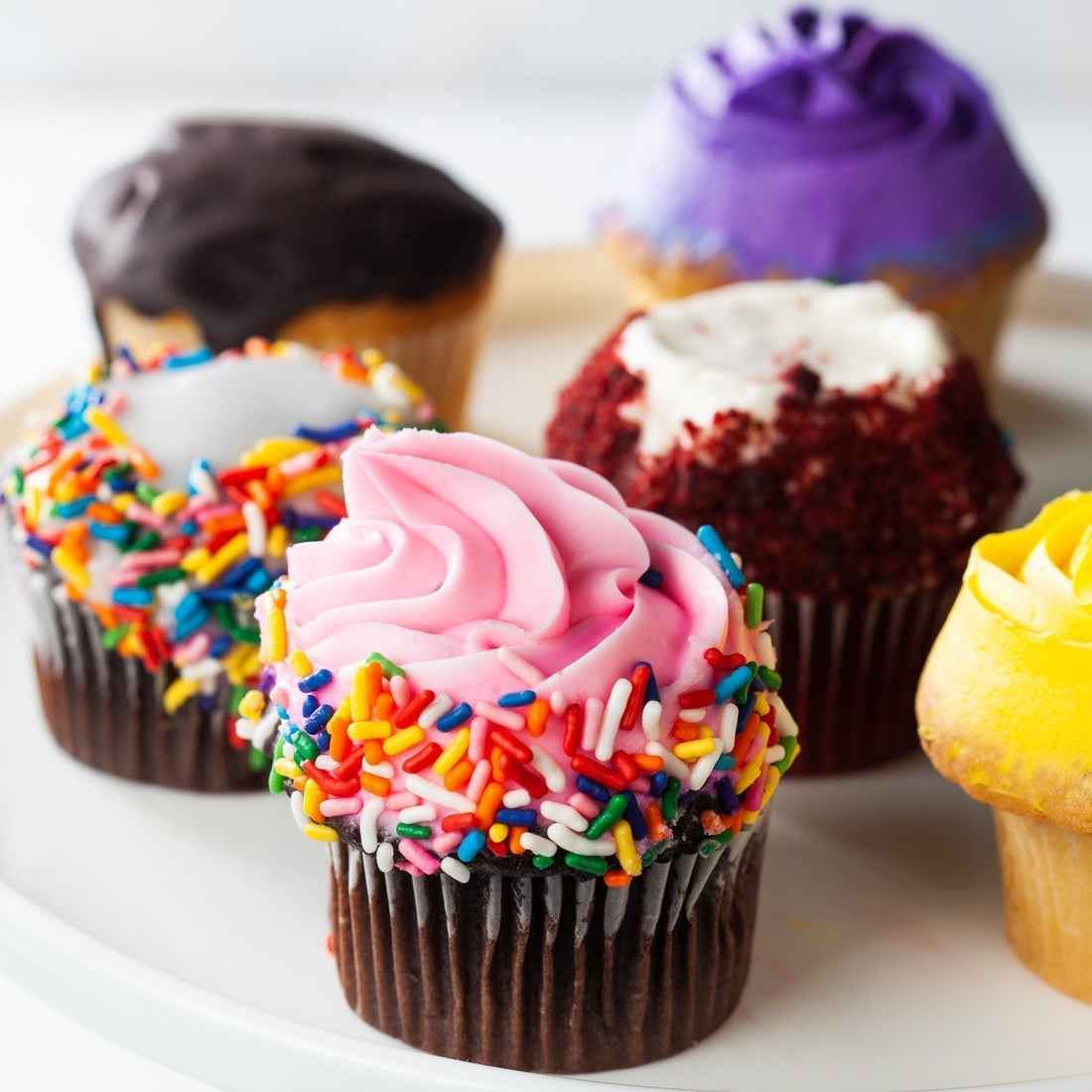 Study Break, Bakery Style