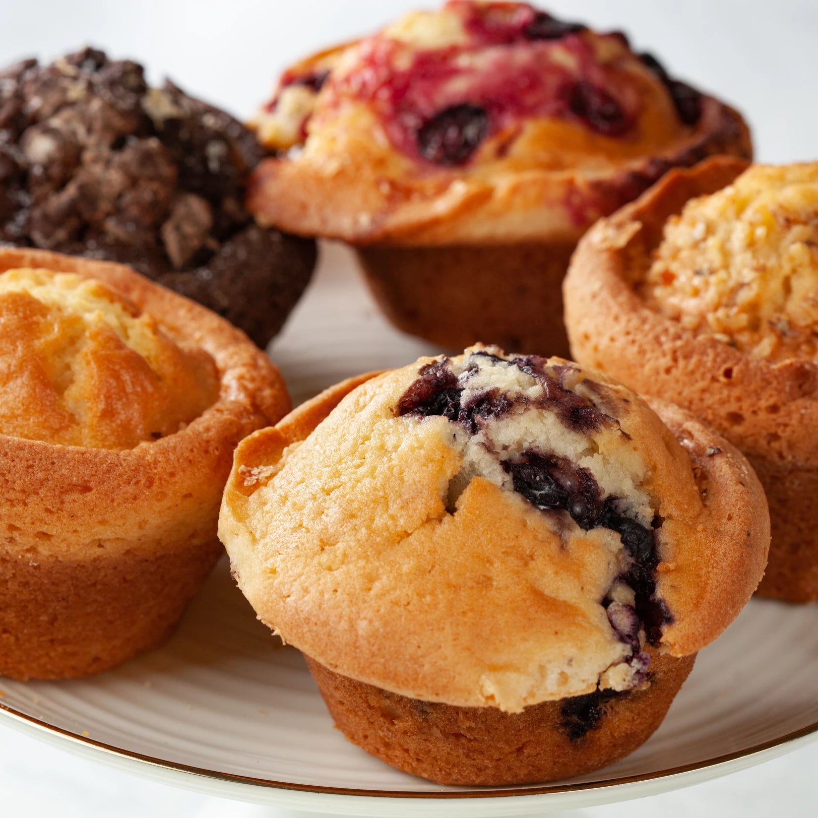 Five pastries on a white gold rimmed plate -- blueberry, cranberry, chocolate chip, corn and carrot flavors.